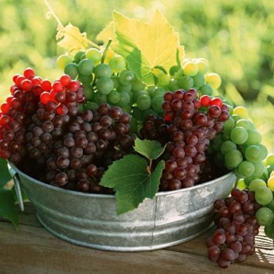 38865000-grapes-wallpapers