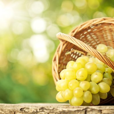 39672736-grapes-wallpapers